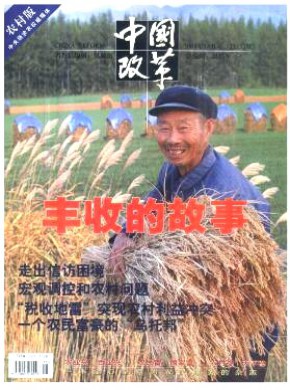 中国改革·农村版期刊
